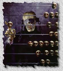 [COUNTDOWN TO EXTINCTION]